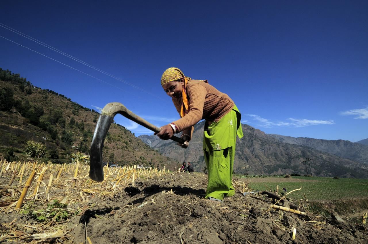 A farmer turning soil by hand on the terraces